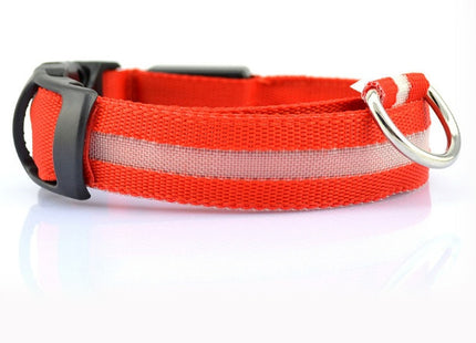 GlowWhisker™ – LED-Sicherheits-Halsband