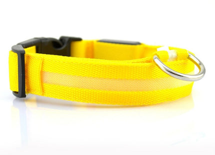 GlowWhisker™ – LED-Sicherheits-Halsband