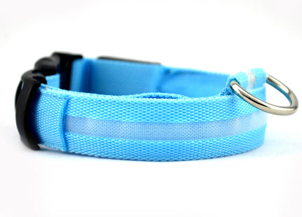GlowWhisker™ – LED-Sicherheits-Halsband