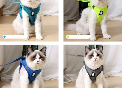 Pawtrox AirFlex – Atmungsaktives Katzengeschirr mit Leine für Spaziergänge