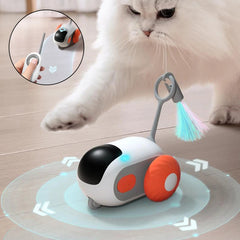 Collection image for: Katze Spielangeln