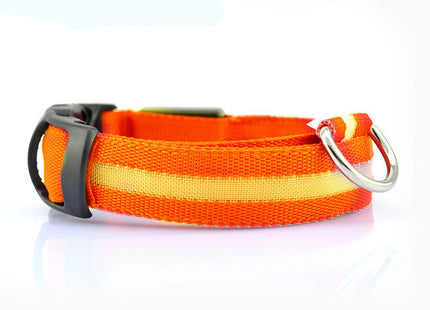 GlowWhisker™ – LED-Sicherheits-Halsband