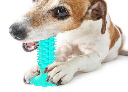 DentaSuction™ – Zahnbürsten-Kauspielzeug mit Saugnapf