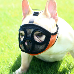 Collection image for: Hund Maulkörbe