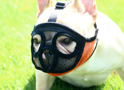 Hoopet Maulkorb für kleine Hunde – ideal für Französische Bulldoggen
