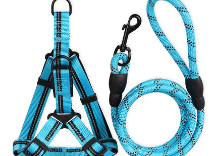 Hundeleine für kleine Hunde – 2-teiliges Set