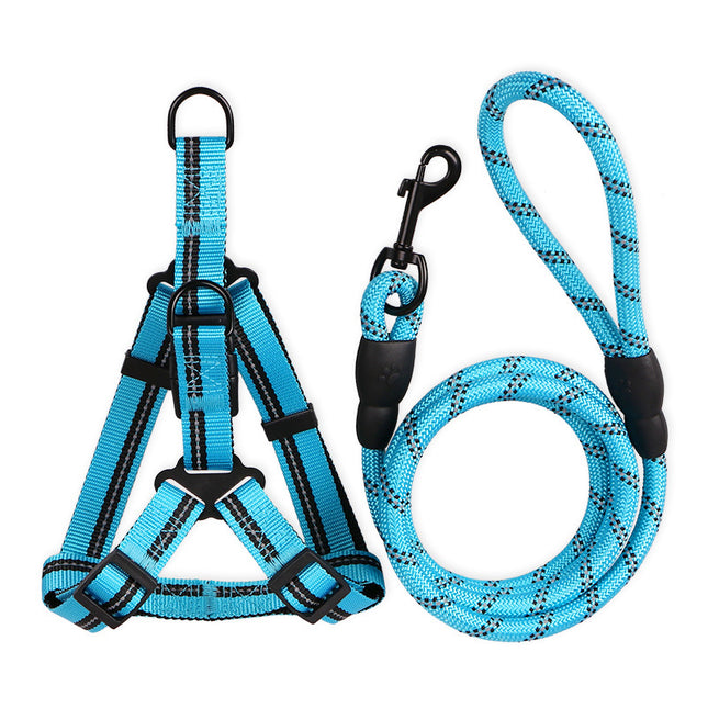 Hundeleine für kleine Hunde – 2-teiliges Set
