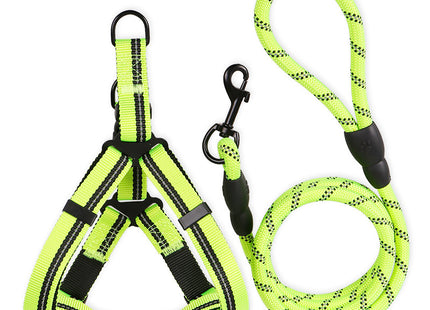 Hundeleine für kleine Hunde – 2-teiliges Set