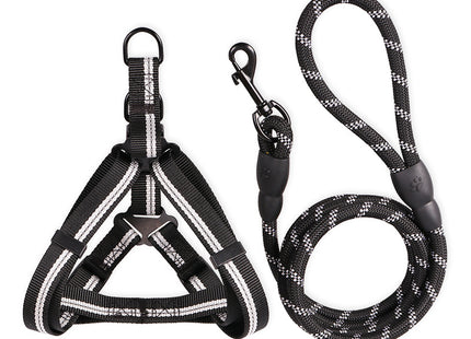 Hundeleine für kleine Hunde – 2-teiliges Set