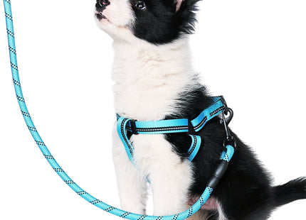Hundeleine für kleine Hunde – 2-teiliges Set