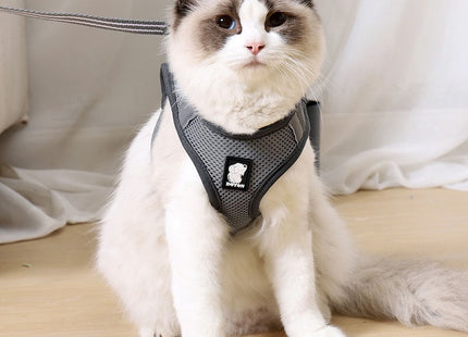 Pawtrox AirFlex – Atmungsaktives Katzengeschirr mit Leine für Spaziergänge
