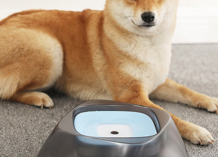 PureSip™ – Anti-Spritz Wasserstation für Hunde & Katzen