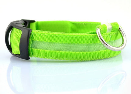 GlowWhisker™ – LED-Sicherheits-Halsband
