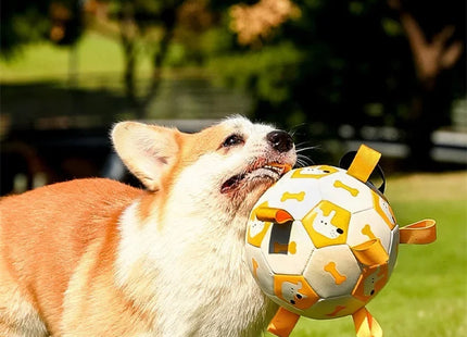 Active Ball - Ideal für aktive Hund