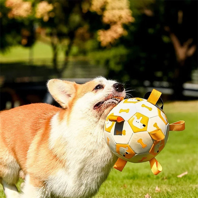 Active Ball - Ideal für aktive Hund