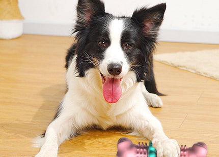 ChewEase™ – Robustes Hundekauspielzeug mit Zahnpflege-Funktion