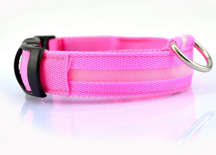 GlowWhisker™ – LED-Sicherheits-Halsband
