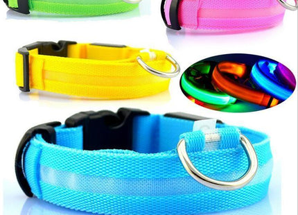 GlowWhisker™ – LED-Sicherheits-Halsband