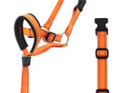 Orange / L