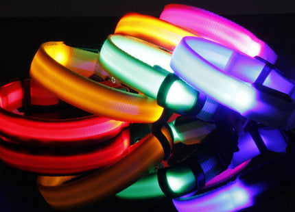 GlowWhisker™ – LED-Sicherheits-Halsband