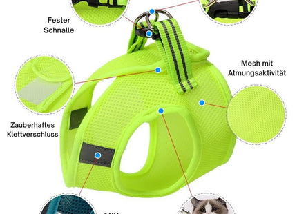 Pawtrox AirFlex – Atmungsaktives Katzengeschirr mit Leine für Spaziergänge