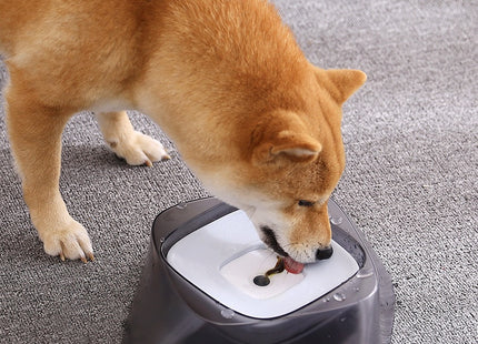 PureSip™ – Anti-Spritz Wasserstation für Hunde & Katzen