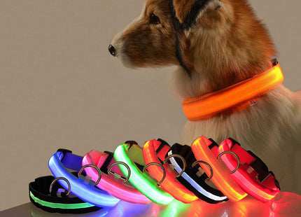 GlowWhisker™ – LED-Sicherheits-Halsband