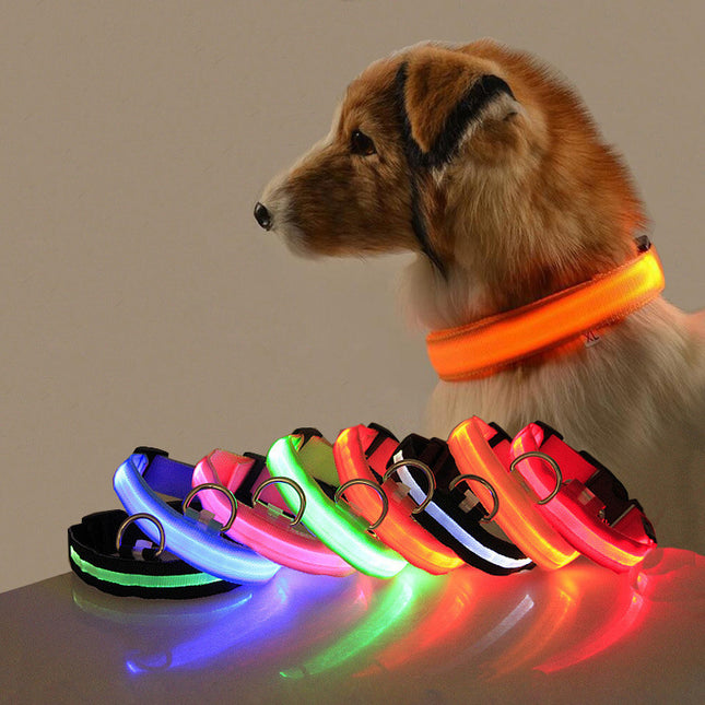 GlowWhisker™ – LED-Sicherheits-Halsband
