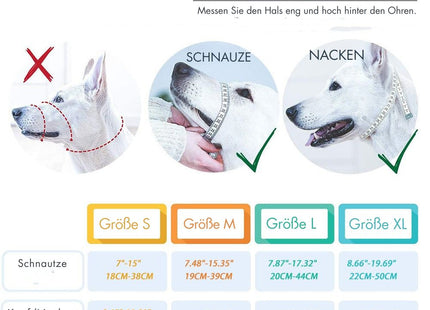 PawGuard - Sicherer und bequemer Schutz für Ihren Hund