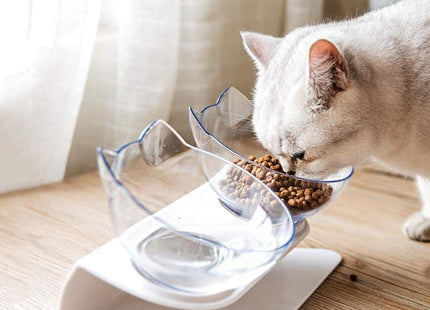 Clearvie DuoLift – Doppelnapf mit Neigung & Standfuß für Katzen