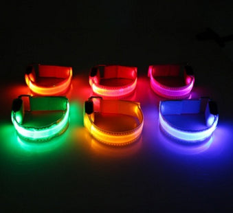 GlowWhisker™ – LED-Sicherheits-Halsband