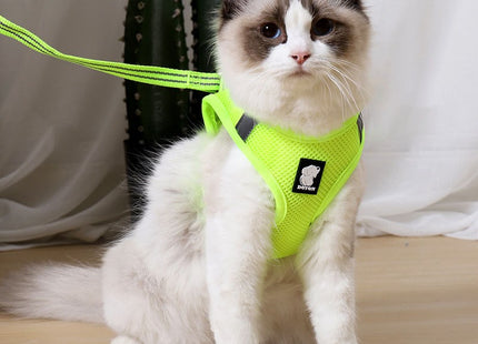 Pawtrox AirFlex – Atmungsaktives Katzengeschirr mit Leine für Spaziergänge