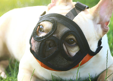 Hoopet Maulkorb für kleine Hunde – ideal für Französische Bulldoggen