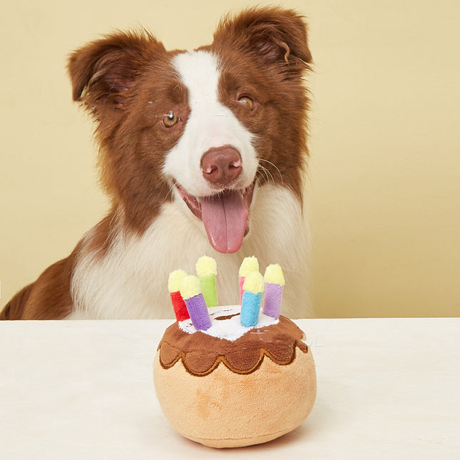 PawtyCake™ – Plüsch-Geburtstagskuchenspielzeug