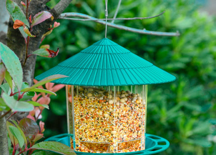 Feathrix ClearFeeder – Hängender Outdoor-Vogelfutterspender