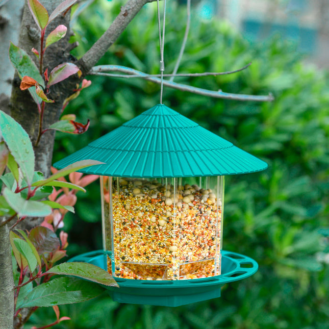 Feathrix ClearFeeder – Hängender Outdoor-Vogelfutterspender