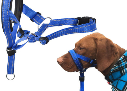 PawGuard - Sicherer und bequemer Schutz für Ihren Hund