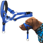 PawGuard - Sicherer und bequemer Schutz für Ihren Hund