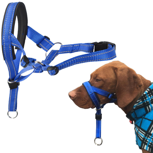 PawGuard - Sicherer und bequemer Schutz für Ihren Hund