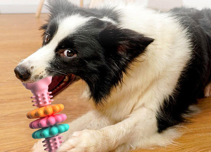 ChewEase™ – Robustes Hundekauspielzeug mit Zahnpflege-Funktion