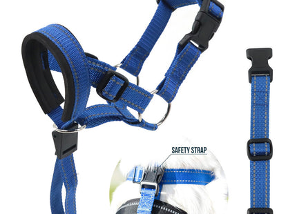 PawGuard - Sicherer und bequemer Schutz für Ihren Hund