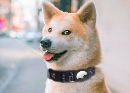 PetRadar - Schutz und Sicherheit für dein Hund in verschiedenen Farben
